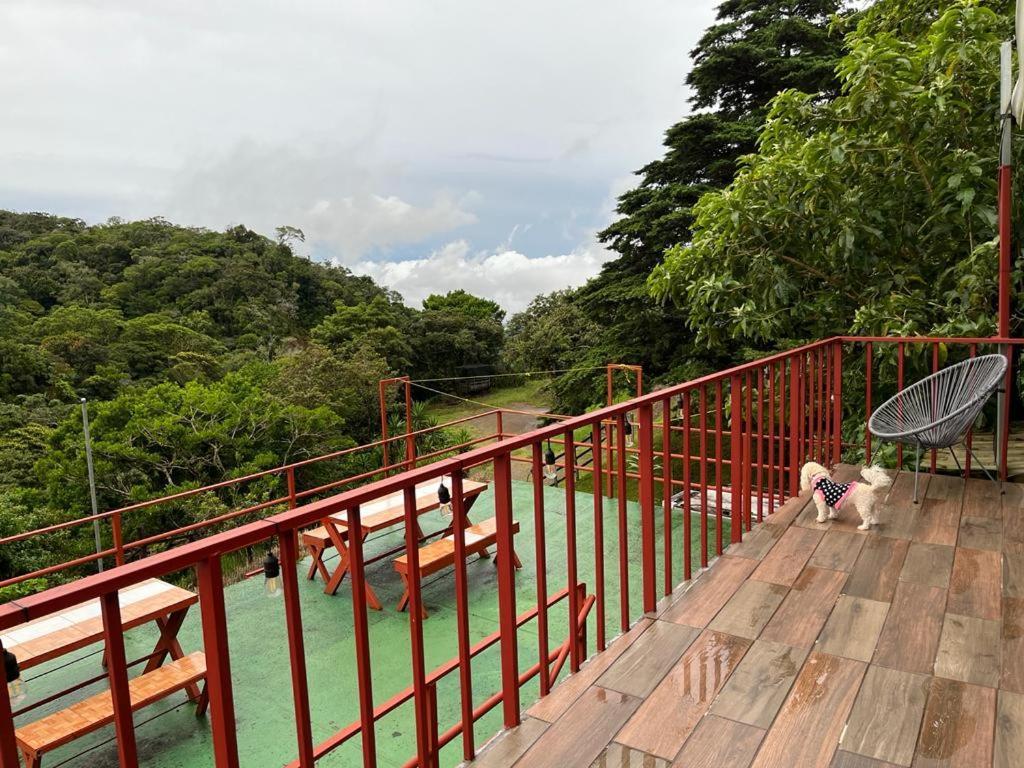 Monteverde Monkey Hostel Eksteriør bilde