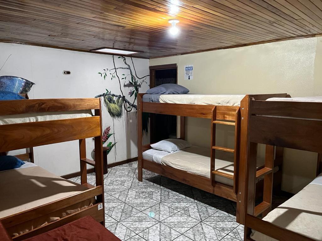 Monteverde Monkey Hostel Eksteriør bilde